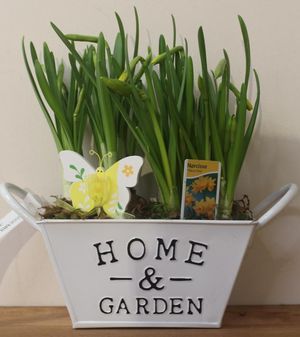 ASSEMBLAGE AU FIL DU TEMPS_HOME_GARDEN