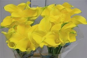CALLA CAPT MEMPHIS 55