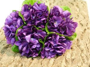 VIOLETTE
