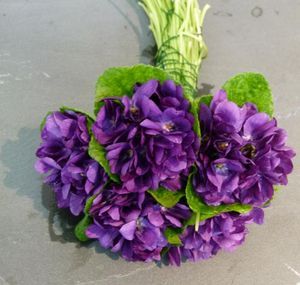 VIOLETTE @@@