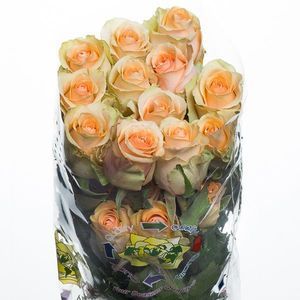 ROSE NECTARINE 40