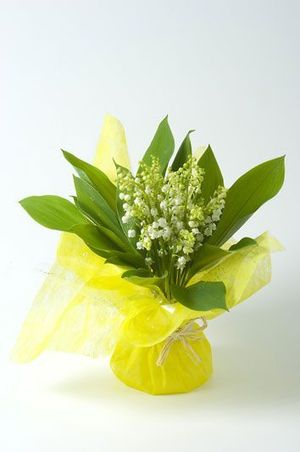 BOUQUET BULLE 15 BRINS $$$