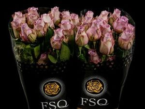 ROSE MIGNON 50