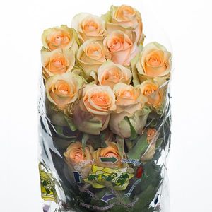 ROSE NECTARINE 50